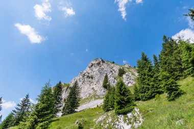 Ferrata üzerinden Rote Fluh ve Friedberg üzerinden Tannheim dağlarındaki Scharschrofen 'e dağ turu.