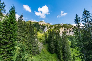 Ferrata üzerinden Rote Fluh ve Friedberg üzerinden Tannheim dağlarındaki Scharschrofen 'e dağ turu.