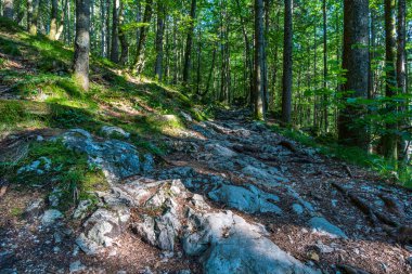 Malerwinkel, Schonau, Berchtesgadener, Bavyera yakınlarındaki Konigssee 'de popüler bir gözetleme noktasıdır.