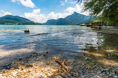 Yukarı Avusturya 'daki güzel Mondsee Salzkammergut