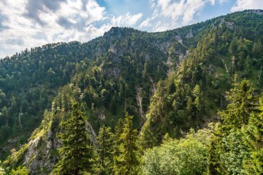 Güzel Mondsee 'deki Ferrata' dan Drachenwand 'a tırmanıyorum.