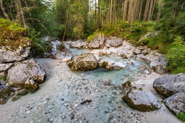 Berchtesgaden yakınlarındaki Ramsau yakınlarındaki vahşi ve romantik büyülü orman.