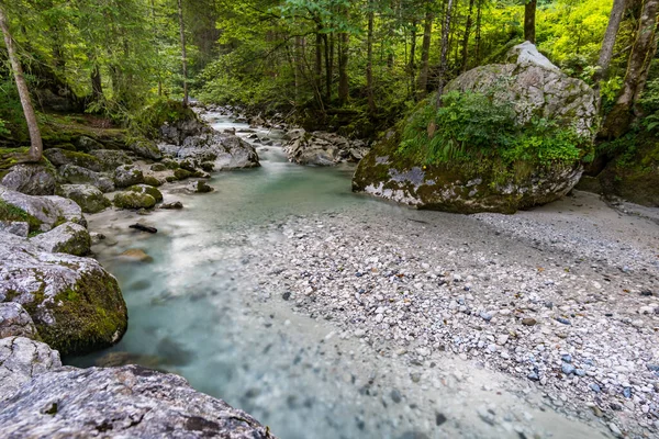 Divoký Romantický Kouzelný Les Poblíž Ramsau Berchtesgadenu — Stock fotografie