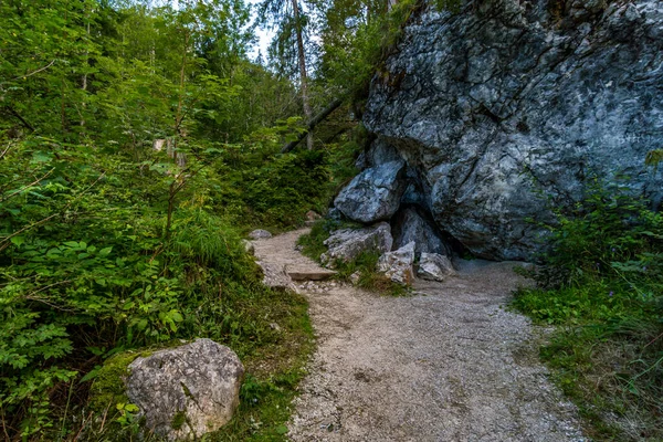 Bosque Mágico Salvaje Romántico Cerca Ramsau Cerca Berchtesgaden — Foto de Stock