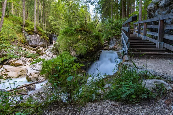 The wild and romantic magic forest near Ramsau near Berchtesgaden