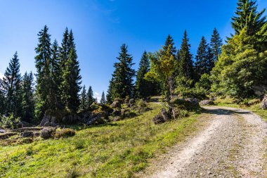 Allgau 'daki Balderschwang' da muhteşem bir yürüyüş.
