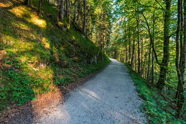 Krásná Horská Túra Watzmannu Berchtesgaden Alpách — Stock fotografie