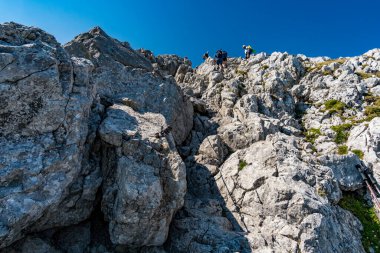 Berchtesgaden Alplerinde Watzmann 'da güzel bir dağ turu.