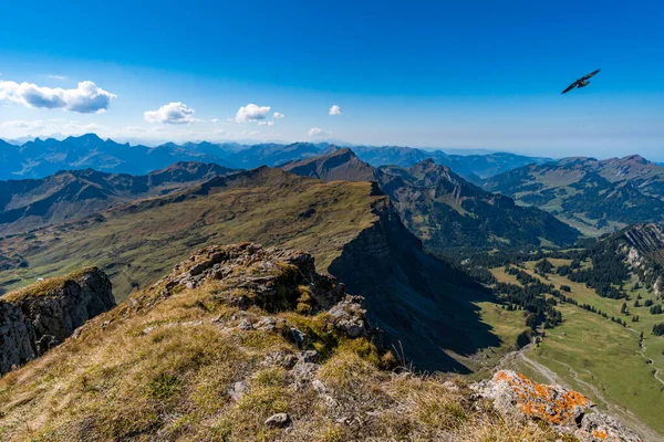 Traumhafte Wanderung Auf Den Hohen Ifen Kleinwalsertal Den Allgäuer Alpen — Stockfoto