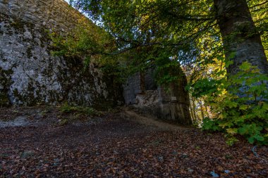 Tuna Vadisi 'nde muhteşem bir sonbahar yürüyüşü.