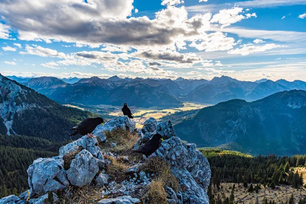 Tannheimer Tal Gün Batımında Aggenstein Güzel Bir Dağ Turu — Stok fotoğraf