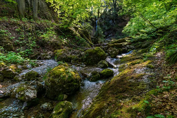 Přes Krásnou Přírodní Rezervaci Aachtobel Údolí Gunzesried Allgau — Stock fotografie