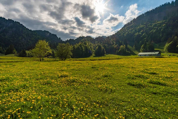 Fantastické Horské Túry Siplingerkopf Heidelbeerkopf Údolí Gunzesried Allgau Alpách — Stock fotografie