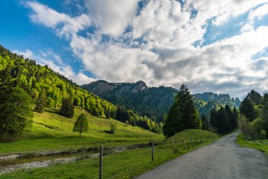 Allgau Alplerindeki Gunzesried Vadisi 'nden Siplingerkopf ve Heidelbeerkopf' a fantastik bir dağ turu.