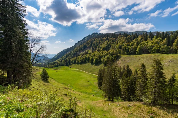 Fantasztikus Hegyi Túra Siplingerkopf Heidelbeerkopf Gunzesried Völgyben Allgau Alpokban — Stock Fotó