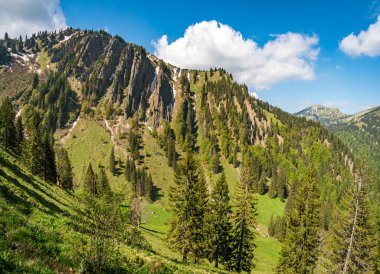 Allgau Alplerindeki Gunzesried Vadisi 'nden Siplingerkopf ve Heidelbeerkopf' a fantastik bir dağ turu.