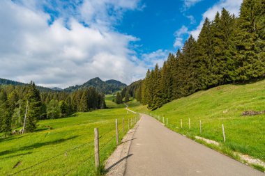 Allgau Alplerindeki Gunzesried Vadisi 'nden Siplingerkopf ve Heidelbeerkopf' a fantastik bir dağ turu.
