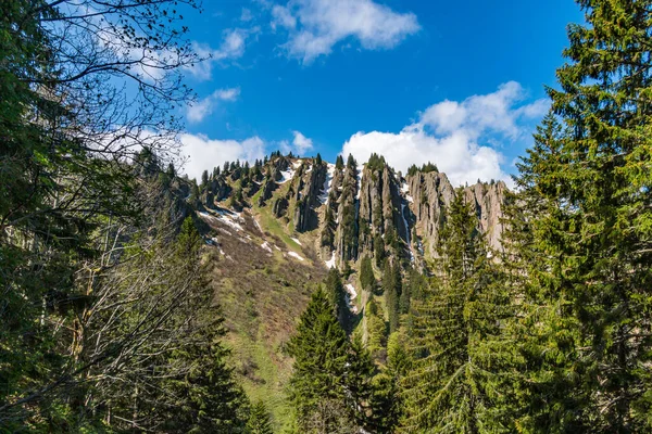 Allgau Alplerindeki Gunzesried Vadisi Nden Siplingerkopf Heidelbeerkopf Fantastik Bir Dağ — Stok fotoğraf