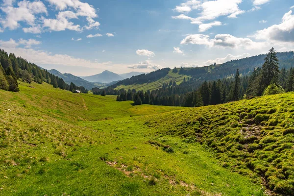 Fantástico Passeio Montanha Para Siplingerkopf Heidelbeerkopf Vale Gunzesried Nos Alpes — Fotografia de Stock