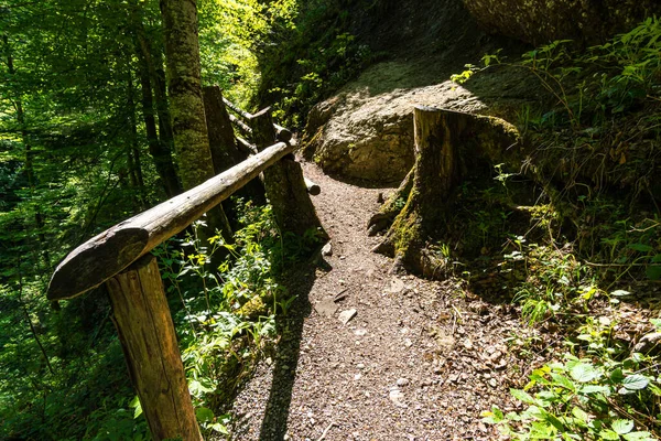 Através Bela Ostertaltobel Vale Gunzesried Allgau Perto Blaichach Sonthofen — Fotografia de Stock