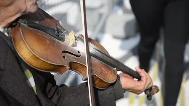 Street violinist playing a violin. — Stock Video