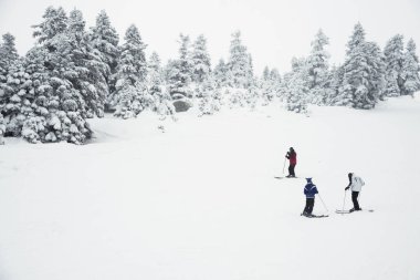 Üç kişi dağda Kayak