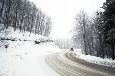 Road and trees in blizzard clipart