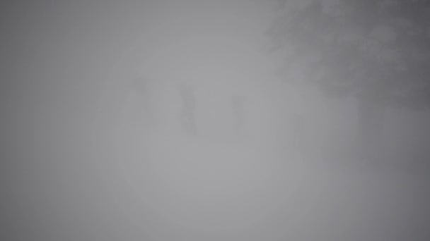 四挡雪板行走 — 图库视频影像