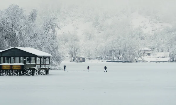 People walking on the frozen lake.