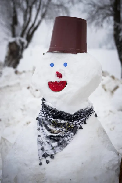 Sneeuwpop met blauwe ogen — Stockfoto