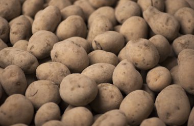Patates arka plan doku.