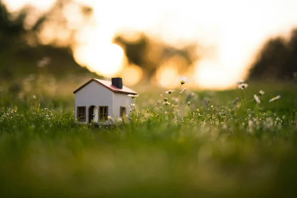 Modello casa in prato . — Foto Stock