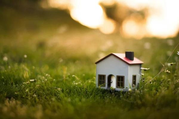 Model house in meadow. — Stock Photo, Image