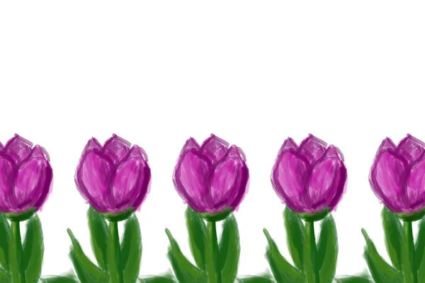 Paarse tulpen tekening — Stockfoto