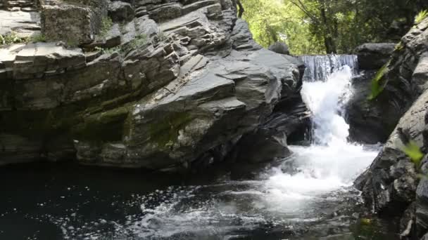 Cachoeira na primavera . — Vídeo de Stock