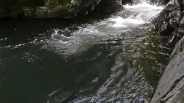 Wasserfall im Frühling. — Stockvideo