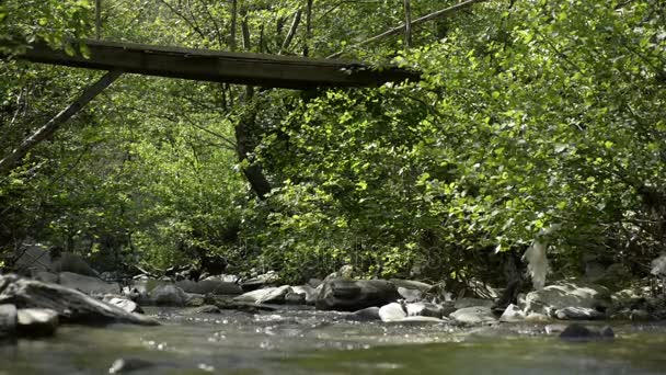 Rzeka stream pod most drewniany. — Wideo stockowe