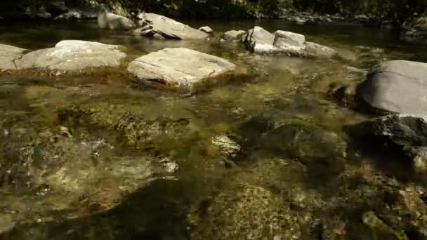 Ruisseau et rochers dans la rivière . — Video