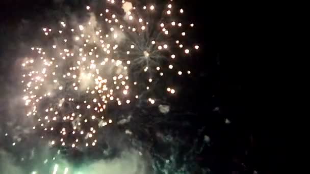 Kleurrijk vuurwerk 's nachts — Stockvideo