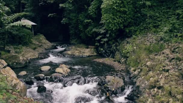 Gitgit şelale nehirde — Stok video