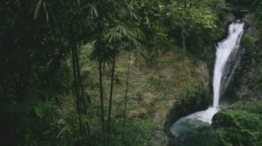 Gitgit şelale Endonezya Bali.