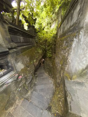 Merdiven Padang padang Plajı'na.