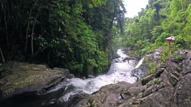 Upp Visa i Aling aling vattenfall i Bali Indonesien. — Stockvideo