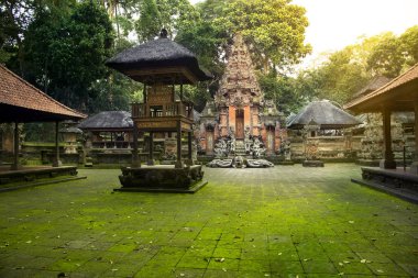 Kutsal maymun orman kutsal tapınak.