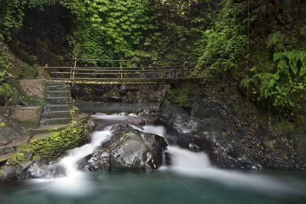 Cascade et pont à la cascade de Gitgit . — Photo