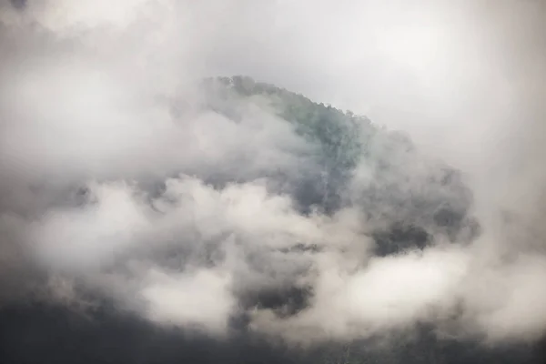 Colline et arbres de paysage nuageux — Photo