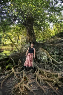 Bir ağaç ve bir adamın kökleri.