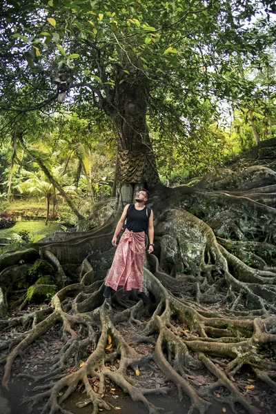 Bir ağaç ve bir adamın kökleri.