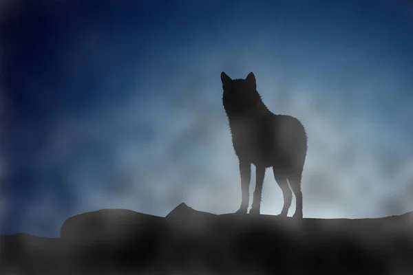 Wolf on a moonset — Stock Photo, Image