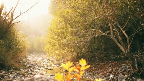 Yaşlarda Deri Ceket Kot Sonbahar Sezonunda Yürüyüş Tarafından Zayıf Akım — Stok video